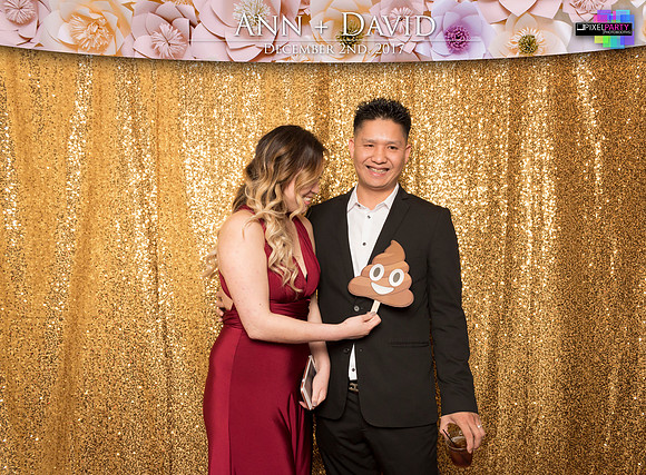60162 - Ann + David Wedding Photobooth 2017