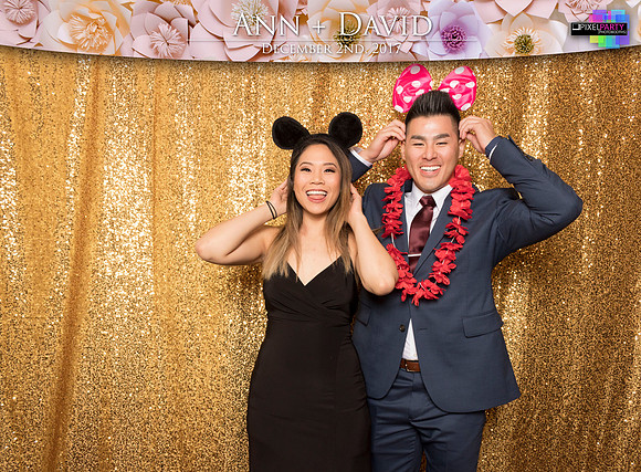 60080 - Ann + David Wedding Photobooth 2017