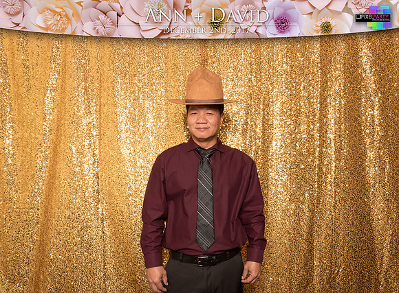 60113 - Ann + David Wedding Photobooth 2017