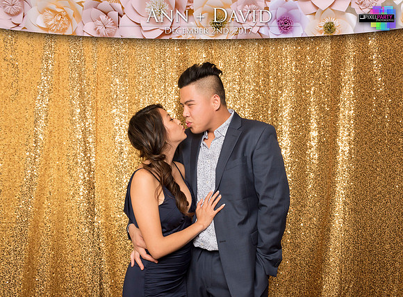 60306 - Ann + David Wedding Photobooth 2017