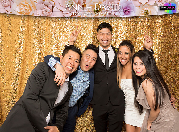 60183 - Ann + David Wedding Photobooth 2017