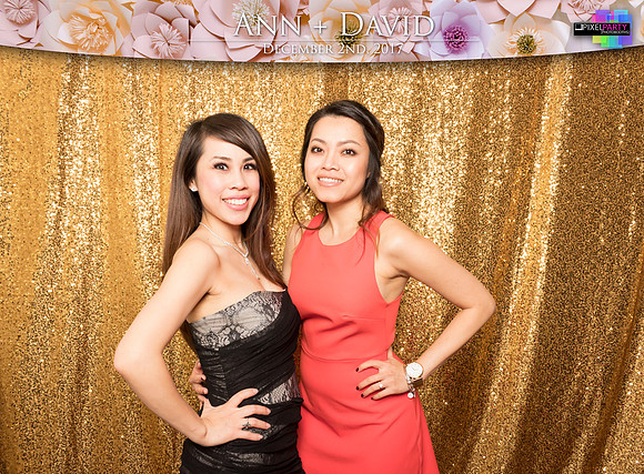 60356 - Ann + David Wedding Photobooth 2017