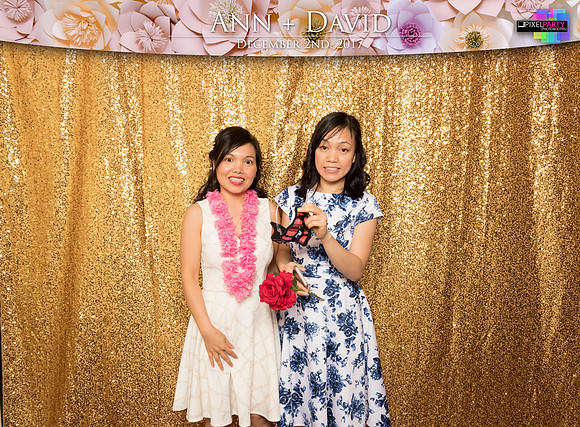 60090 - Ann + David Wedding Photobooth 2017