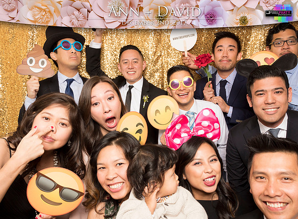 60192 - Ann + David Wedding Photobooth 2017