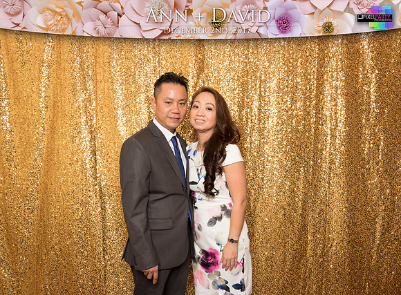60165 - Ann + David Wedding Photobooth 2017