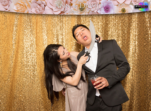 60491 - Ann + David Wedding Photobooth 2017