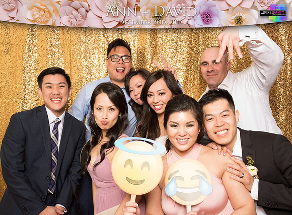 60517 - Ann + David Wedding Photobooth 2017
