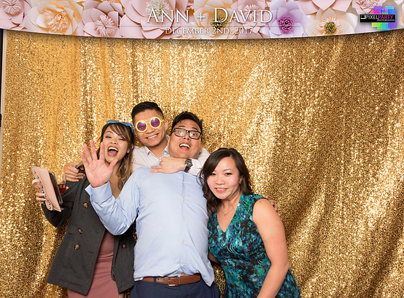 60504 - Ann + David Wedding Photobooth 2017