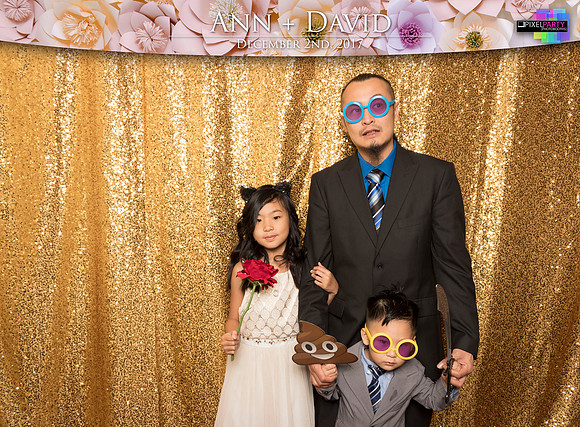 60242 - Ann + David Wedding Photobooth 2017