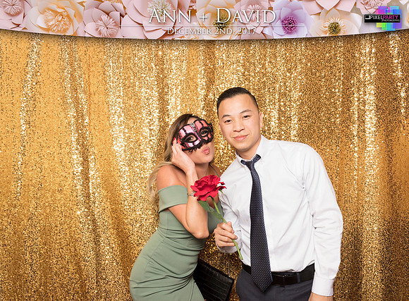 60454 - Ann + David Wedding Photobooth 2017