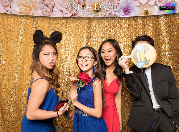 60145 - Ann + David Wedding Photobooth 2017