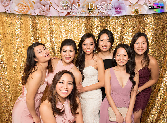 60551 - Ann + David Wedding Photobooth 2017
