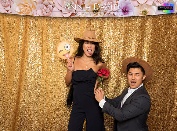 60069 - Ann + David Wedding Photobooth 2017
