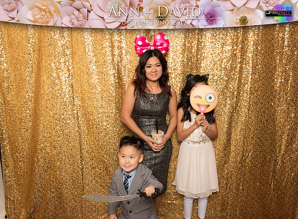 60131 - Ann + David Wedding Photobooth 2017