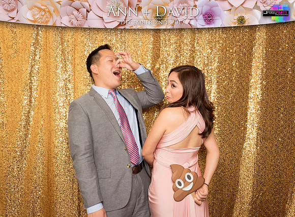 60212 - Ann + David Wedding Photobooth 2017