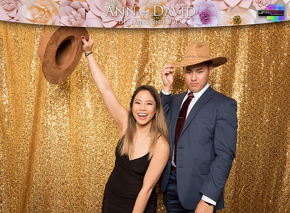 60086 - Ann + David Wedding Photobooth 2017