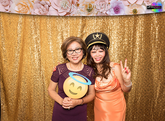 60122 - Ann + David Wedding Photobooth 2017
