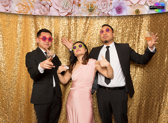 60198 - Ann + David Wedding Photobooth 2017