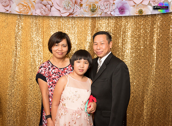60442 - Ann + David Wedding Photobooth 2017