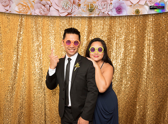 60185 - Ann + David Wedding Photobooth 2017