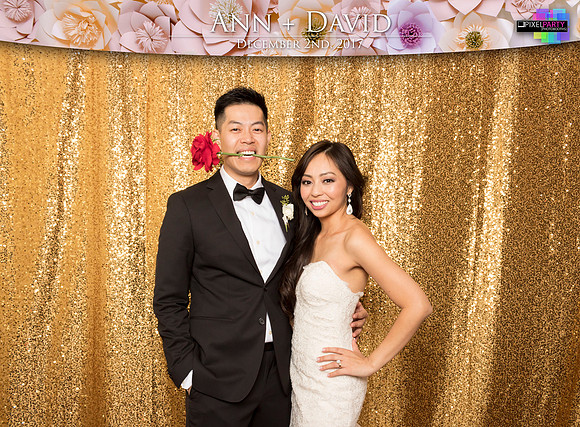 60236 - Ann + David Wedding Photobooth 2017