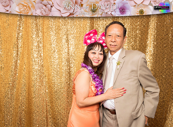 60208 - Ann + David Wedding Photobooth 2017