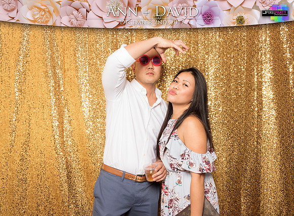 60451 - Ann + David Wedding Photobooth 2017