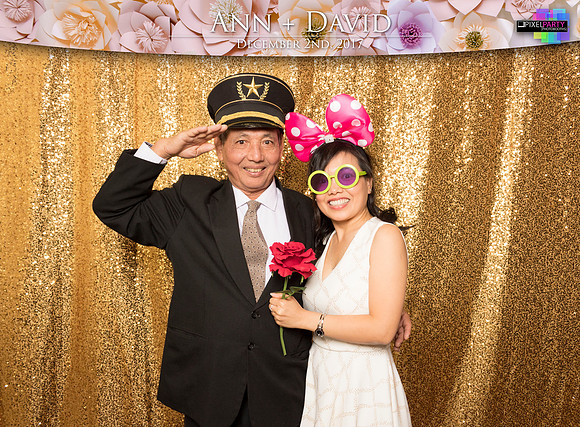 60431 - Ann + David Wedding Photobooth 2017