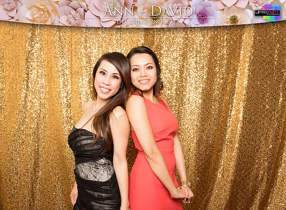 60357 - Ann + David Wedding Photobooth 2017