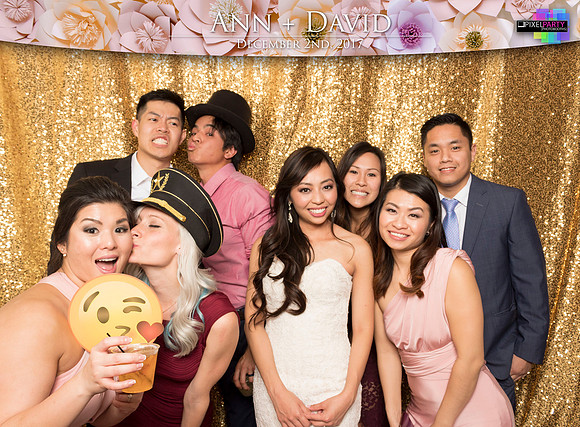 60541 - Ann + David Wedding Photobooth 2017