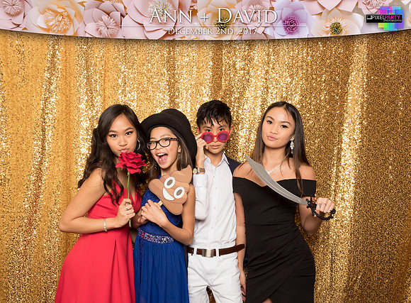 60230 - Ann + David Wedding Photobooth 2017