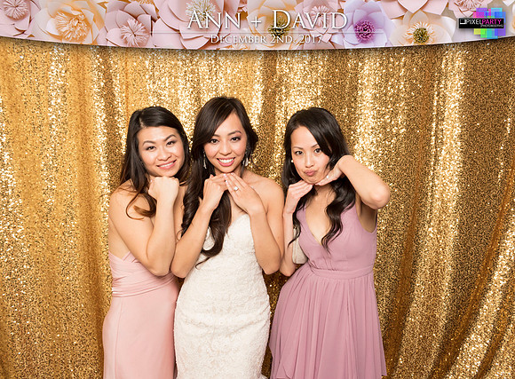 60556 - Ann + David Wedding Photobooth 2017