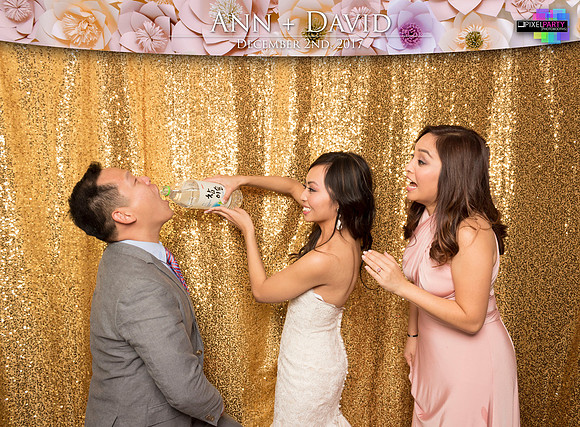 60537 - Ann + David Wedding Photobooth 2017