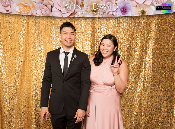 60174 - Ann + David Wedding Photobooth 2017