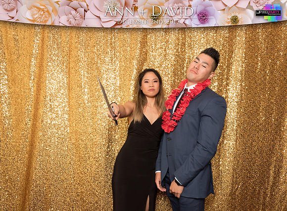 60082 - Ann + David Wedding Photobooth 2017