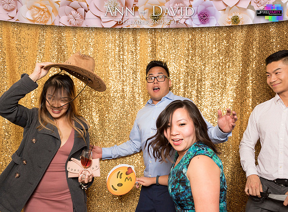60501 - Ann + David Wedding Photobooth 2017