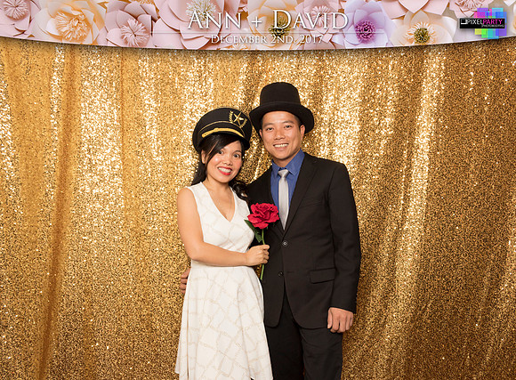 60084 - Ann + David Wedding Photobooth 2017