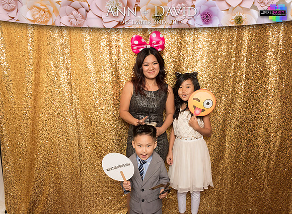 60133 - Ann + David Wedding Photobooth 2017