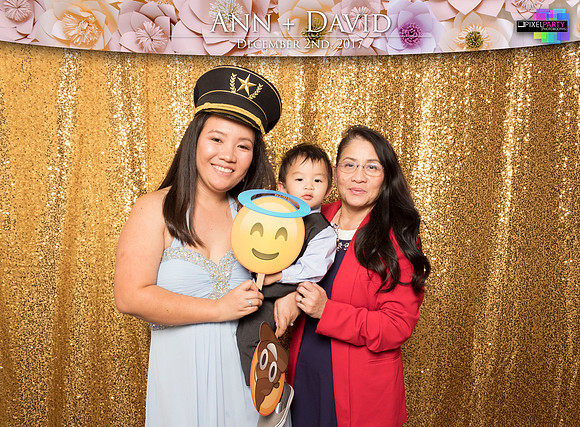 60277 - Ann + David Wedding Photobooth 2017