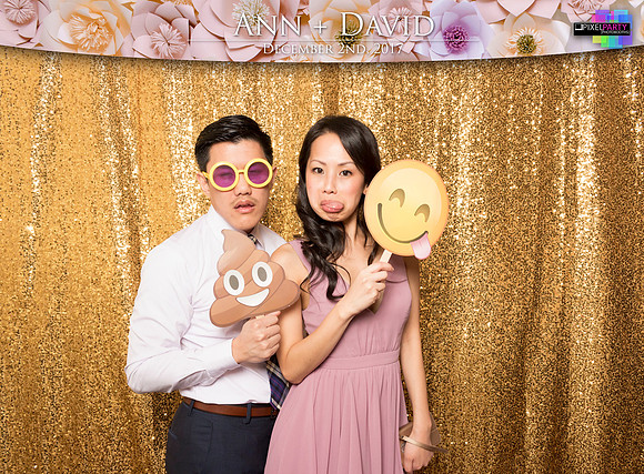 60459 - Ann + David Wedding Photobooth 2017