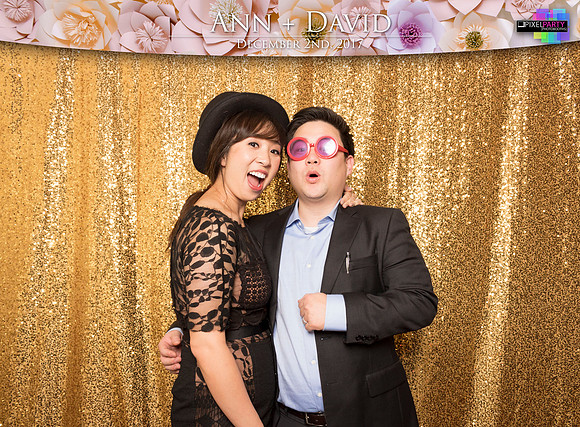 60437 - Ann + David Wedding Photobooth 2017