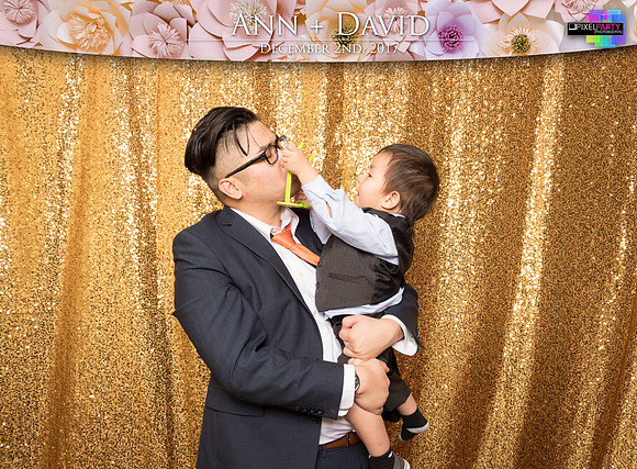 60375 - Ann + David Wedding Photobooth 2017
