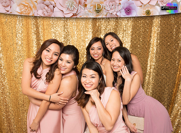60546 - Ann + David Wedding Photobooth 2017