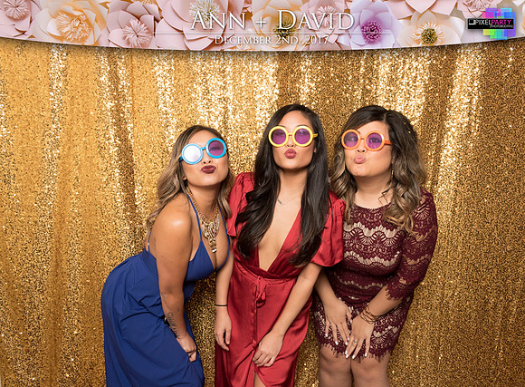 60299 - Ann + David Wedding Photobooth 2017