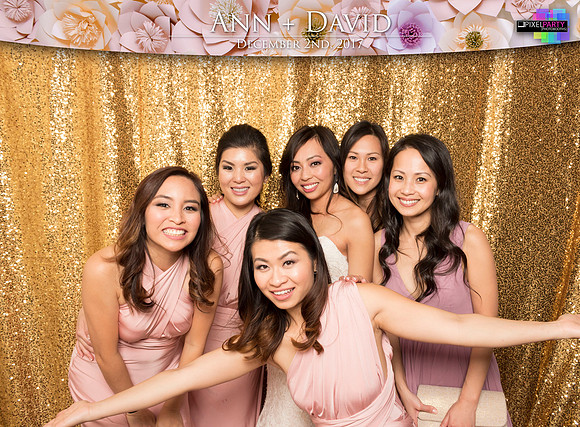 60545 - Ann + David Wedding Photobooth 2017