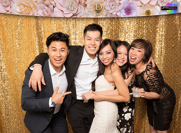 60524 - Ann + David Wedding Photobooth 2017