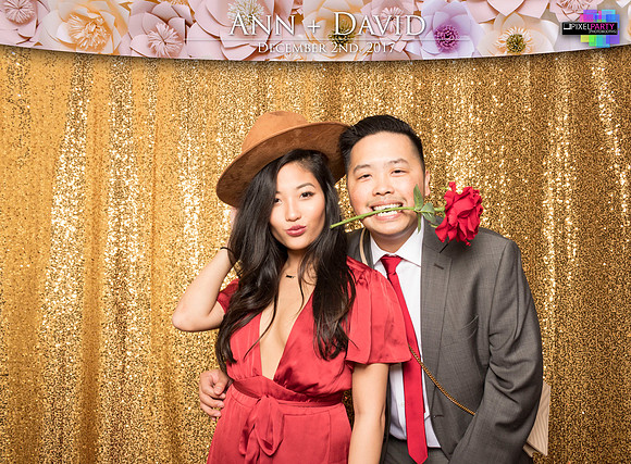 60506 - Ann + David Wedding Photobooth 2017