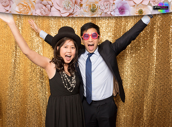 60445 - Ann + David Wedding Photobooth 2017