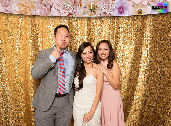 60538 - Ann + David Wedding Photobooth 2017