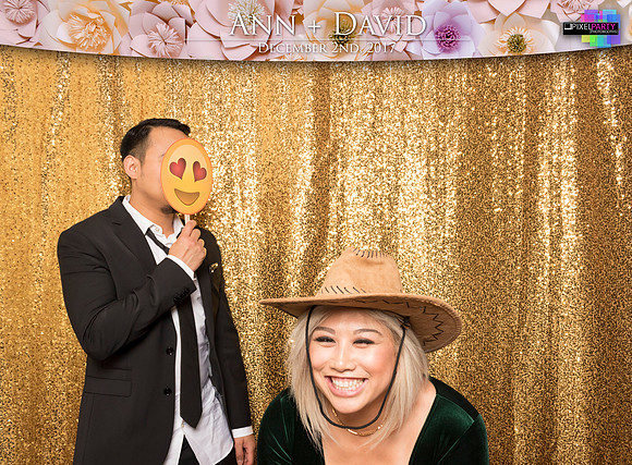 60481 - Ann + David Wedding Photobooth 2017